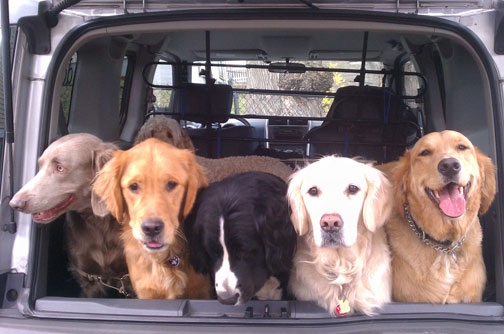 Welcome to our new website and blog.
